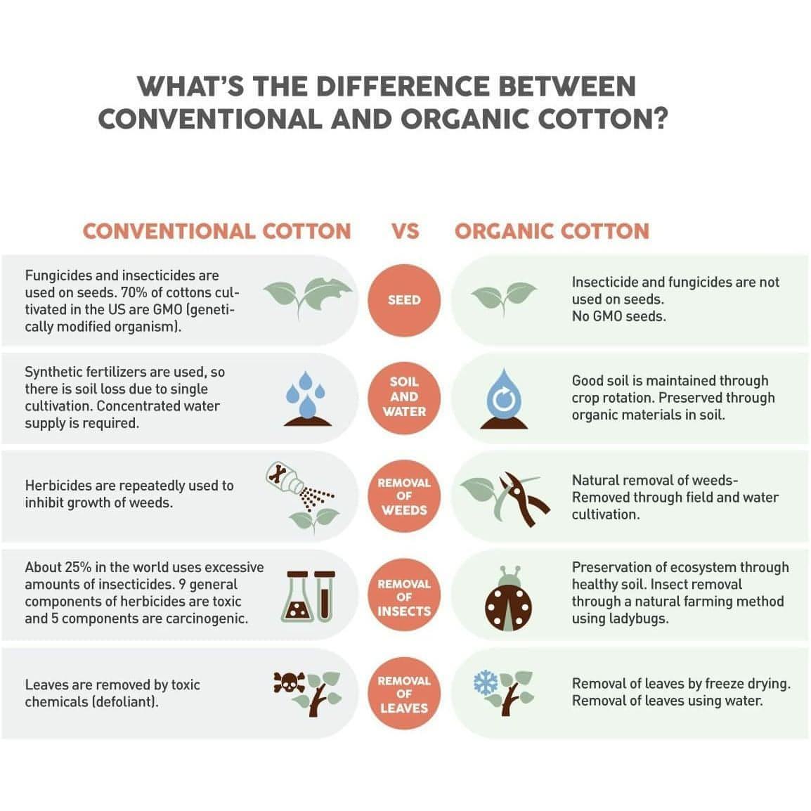 2-Pack Daily Comfort Women Underwear - NextMamas